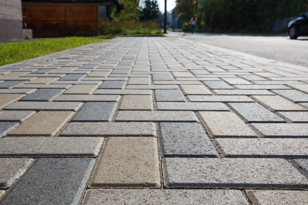 Best Professional Driveway Pavers  in Nogales, AZ