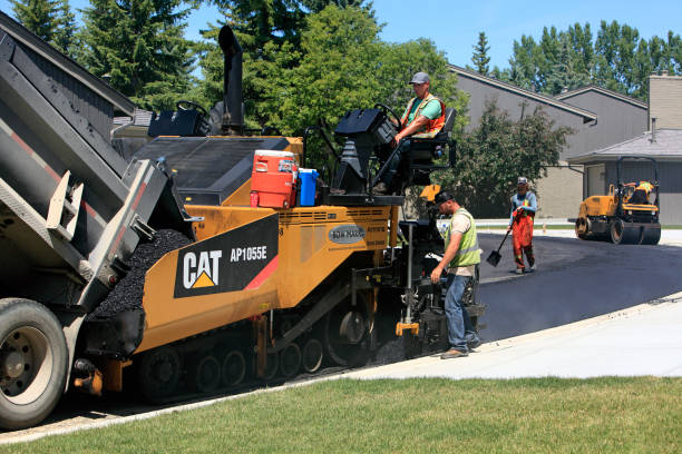 Best Professional Driveway Pavers  in Nogales, AZ